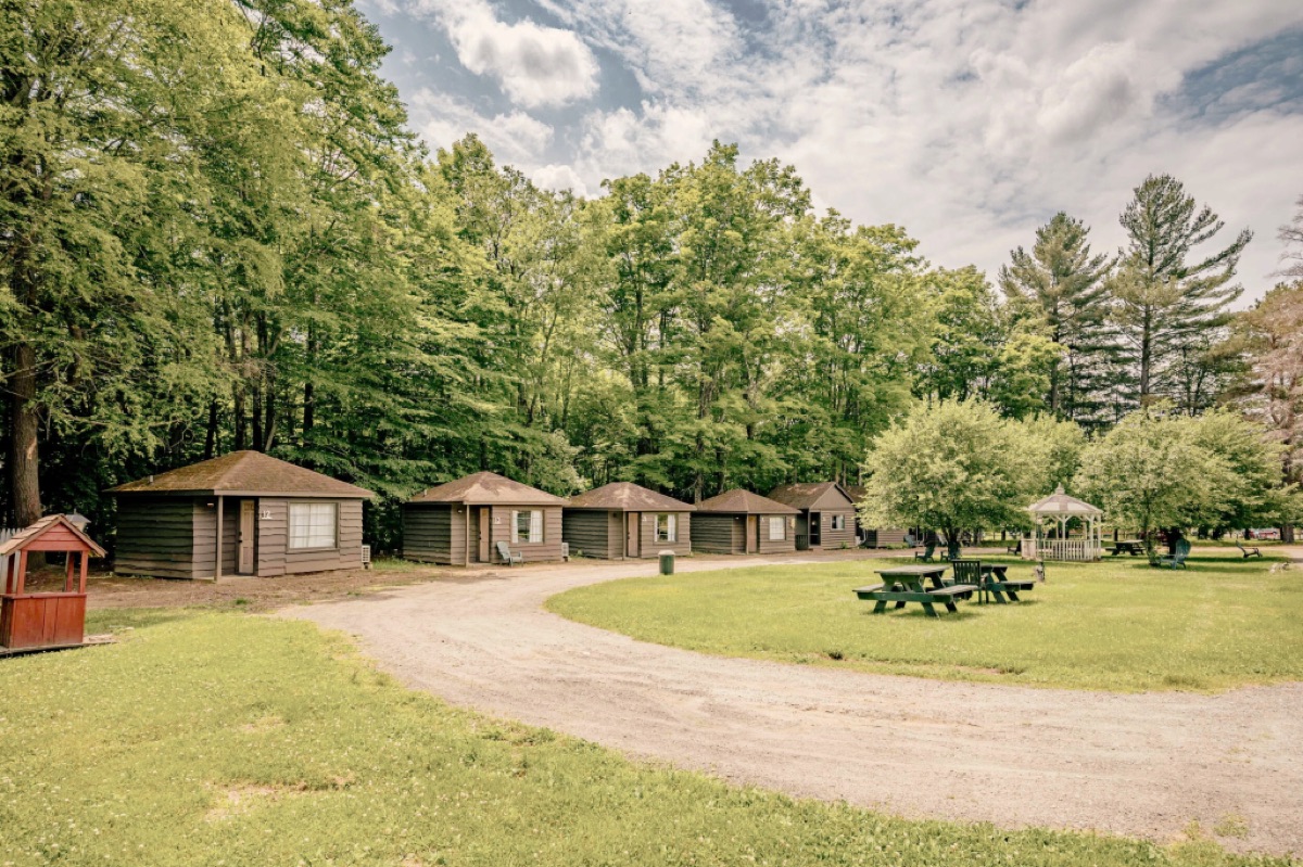 A row of rustic log cabins at The Dax Motel & Cabins